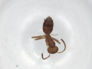  ( - BIOUG91779-E10)  @11 [ ] CreativeCommons - Attribution (2022) Centre for Biodiversity Genomics Centre for Biodiversity Genomics