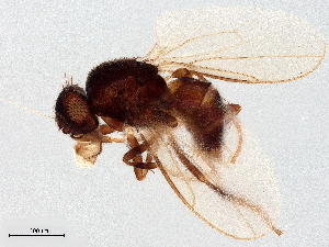  ( - BIOUG47631-A12)  @11 [ ] CreativeCommons - Attribution (2023) CBG Photography Group Centre for Biodiversity Genomics