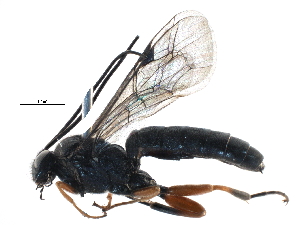  ( - BIOUG07591-E04)  @14 [ ] CreativeCommons - Attribution (2015) CBG Photography Group Centre for Biodiversity Genomics