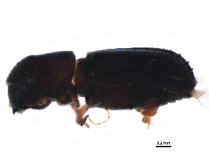  ( - BIOUG16890-B02)  @12 [ ] CreativeCommons - Attribution (2015) CBG Photography Group Centre for Biodiversity Genomics
