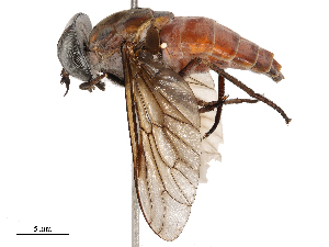  ( - CBG-B23311-G07)  @11 [ ] CreativeCommons - Attribution Share - Alike (2025) CBG Photography Group Centre for Biodiversity Genomics