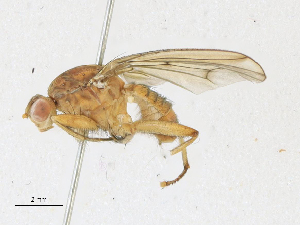  ( - CBG-A16699-C09)  @11 [ ] CreativeCommons - Attribution Share-Alike (2023) CBG Photography Group Centre for Biodiversity Genomics