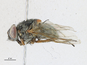  ( - CBG-A16716-C03)  @11 [ ] CreativeCommons - Attribution Share-Alike (2023) CBG Photography Group Centre for Biodiversity Genomics