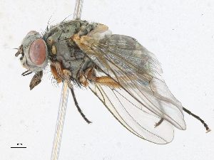  ( - CBG-A16716-H03)  @11 [ ] CreativeCommons - Attribution Share-Alike (2023) CBG Photography Group Centre for Biodiversity Genomics