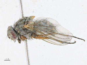  ( - CBG-A16716-H04)  @11 [ ] CreativeCommons - Attribution Share-Alike (2023) CBG Photography Group Centre for Biodiversity Genomics