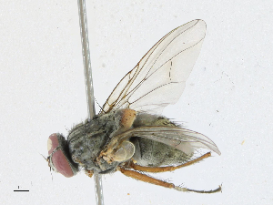  ( - CBG-A21649-A04)  @11 [ ] CreativeCommons - Attribution Share-Alike (2023) CBG Photography Group Centre for Biodiversity Genomics