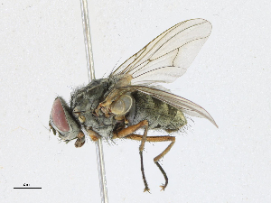  ( - CBG-A21649-A05)  @11 [ ] CreativeCommons - Attribution Share-Alike (2023) CBG Photography Group Centre for Biodiversity Genomics