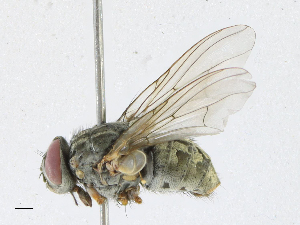  ( - CBG-A21649-A07)  @11 [ ] CreativeCommons - Attribution Share-Alike (2023) CBG Photography Group Centre for Biodiversity Genomics