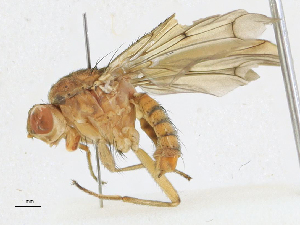  ( - CBG-A21650-A06)  @11 [ ] CreativeCommons - Attribution Share-Alike (2023) CBG Photography Group Centre for Biodiversity Genomics