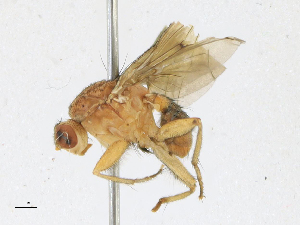  ( - CBG-A21650-A08)  @11 [ ] CreativeCommons - Attribution Share-Alike (2023) CBG Photography Group Centre for Biodiversity Genomics