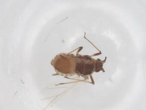  ( - CBG-B01580-E07)  @11 [ ] CreativeCommons - Attribution Share - Alike (2025) Centre for Biodiversity Genomics Centre for Biodiversity Genomics