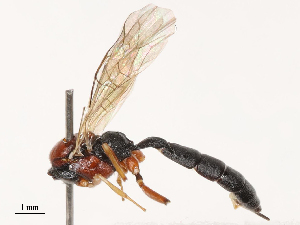  ( - CBG-B01661-C12)  @11 [ ] CreativeCommons - Attribution Share - Alike (2025) CBG Photography Group Centre for Biodiversity Genomics