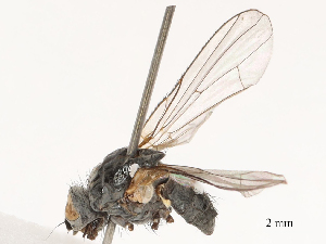  ( - CBG-B01661-E07)  @11 [ ] CreativeCommons - Attribution Share - Alike (2025) CBG Photography Group Centre for Biodiversity Genomics