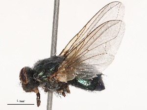  ( - CBG-B01661-G07)  @11 [ ] CreativeCommons - Attribution Share - Alike (2025) CBG Photography Group Centre for Biodiversity Genomics