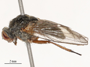  ( - CBG-B01661-H10)  @11 [ ] CreativeCommons - Attribution Share - Alike (2025) CBG Photography Group Centre for Biodiversity Genomics