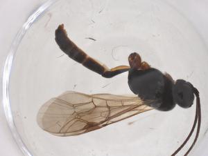  ( - CBG-B01738-A02)  @11 [ ] CreativeCommons - Attribution Share - Alike (2025) Centre for Biodiversity Genomics Centre for Biodiversity Genomics