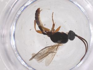  ( - CBG-B01738-F05)  @11 [ ] CreativeCommons - Attribution Share - Alike (2025) Centre for Biodiversity Genomics Centre for Biodiversity Genomics