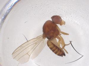  ( - CBG-B02190-E05)  @11 [ ] CreativeCommons - Attribution Share - Alike (2025) Centre for Biodiversity Genomics Centre for Biodiversity Genomics