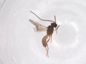  ( - CBG-B02206-F11)  @11 [ ] CreativeCommons - Attribution Share - Alike (2025) Centre for Biodiversity Genomics Centre for Biodiversity Genomics