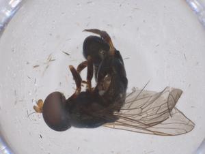  ( - CBG-B02971-C09)  @11 [ ] CreativeCommons - Attribution Share - Alike (2025) Centre for Biodiversity Genomics Centre for Biodiversity Genomics