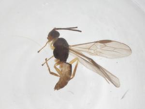  ( - CBG-B03250-A02)  @11 [ ] CreativeCommons - Attribution Share - Alike (2025) Centre for Biodiversity Genomics Centre for Biodiversity Genomics