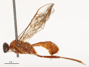  ( - CBG-B03261-B02)  @11 [ ] CreativeCommons - Attribution Share - Alike (2025) CBG Photography Group Centre for Biodiversity Genomics