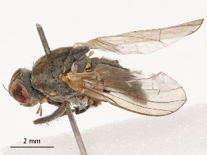  ( - CBG-B03261-C11)  @11 [ ] CreativeCommons - Attribution Share - Alike (2025) CBG Photography Group Centre for Biodiversity Genomics