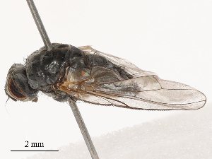  ( - CBG-B03261-D04)  @11 [ ] CreativeCommons - Attribution Share - Alike (2025) CBG Photography Group Centre for Biodiversity Genomics