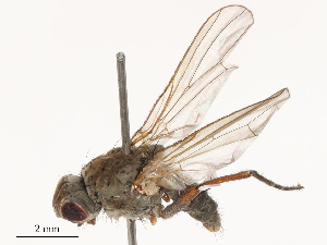  ( - CBG-B03261-D08)  @11 [ ] CreativeCommons - Attribution Share - Alike (2025) CBG Photography Group Centre for Biodiversity Genomics