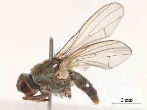  ( - CBG-B03261-E05)  @11 [ ] CreativeCommons - Attribution Share - Alike (2025) CBG Photography Group Centre for Biodiversity Genomics