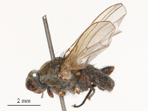  ( - CBG-B03261-F03)  @11 [ ] CreativeCommons - Attribution Share - Alike (2025) CBG Photography Group Centre for Biodiversity Genomics