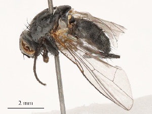  ( - CBG-B03261-F11)  @11 [ ] CreativeCommons - Attribution Share - Alike (2025) CBG Photography Group Centre for Biodiversity Genomics