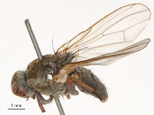  ( - CBG-B03261-H11)  @11 [ ] CreativeCommons - Attribution Share - Alike (2025) CBG Photography Group Centre for Biodiversity Genomics