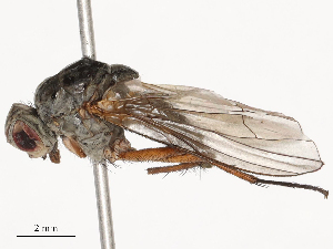  ( - CBG-B03264-A01)  @11 [ ] CreativeCommons - Attribution Share - Alike (2025) CBG Photography Group Centre for Biodiversity Genomics