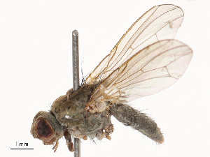  ( - CBG-B03264-C07)  @11 [ ] CreativeCommons - Attribution Share - Alike (2025) CBG Photography Group Centre for Biodiversity Genomics