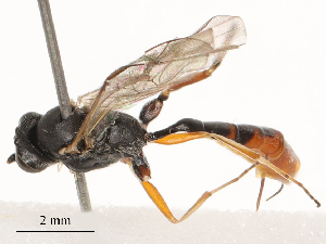  ( - CBG-B03264-F11)  @11 [ ] CreativeCommons - Attribution Share - Alike (2025) CBG Photography Group Centre for Biodiversity Genomics