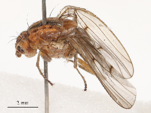  ( - CBG-B03397-C09)  @11 [ ] CreativeCommons - Attribution Share - Alike (2025) CBG Photography Group Centre for Biodiversity Genomics