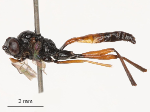  ( - CBG-B03397-F03)  @11 [ ] CreativeCommons - Attribution Share - Alike (2025) CBG Photography Group Centre for Biodiversity Genomics