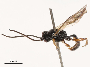  ( - CBG-B03397-F10)  @11 [ ] CreativeCommons - Attribution Share - Alike (2025) CBG Photography Group Centre for Biodiversity Genomics