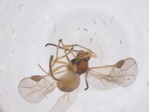  ( - CBG-B03422-D07)  @11 [ ] CreativeCommons - Attribution Share - Alike (2025) Centre for Biodiversity Genomics Centre for Biodiversity Genomics