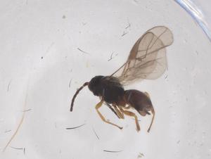  ( - CBG-B03610-D02)  @11 [ ] CreativeCommons - Attribution Share - Alike (2025) Centre for Biodiversity Genomics Centre for Biodiversity Genomics