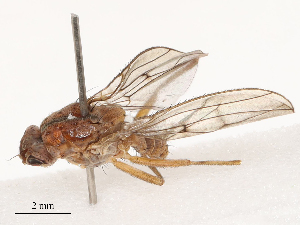  ( - CBG-B04358-D11)  @11 [ ] CreativeCommons - Attribution Share - Alike (2025) CBG Photography Group Centre for Biodiversity Genomics