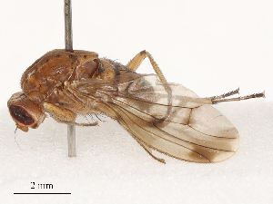  ( - CBG-B04358-E12)  @11 [ ] CreativeCommons - Attribution Share - Alike (2025) CBG Photography Group Centre for Biodiversity Genomics