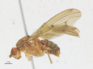  ( - CBG-A21697-C07)  @11 [ ] CreativeCommons - Attribution Share-Alike (2023) CBG Photography Group Centre for Biodiversity Genomics