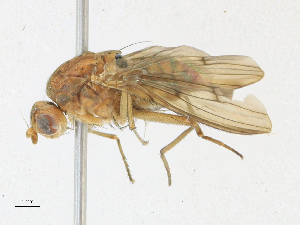  ( - CBG-A21697-G11)  @11 [ ] CreativeCommons - Attribution Share-Alike (2023) CBG Photography Group Centre for Biodiversity Genomics