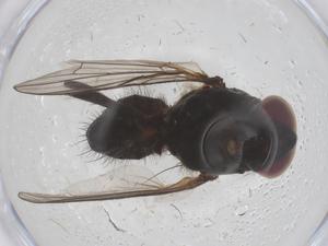  ( - CBG-B00125-E08)  @11 [ ] CreativeCommons - Attribution Share - Alike (2025) Centre for Biodiversity Genomics Centre for Biodiversity Genomics