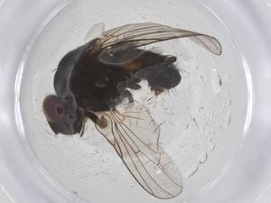  ( - CBG-B00125-E09)  @11 [ ] CreativeCommons - Attribution Share - Alike (2025) Centre for Biodiversity Genomics Centre for Biodiversity Genomics