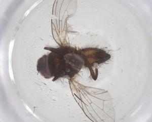  ( - CBG-B00125-G05)  @11 [ ] CreativeCommons - Attribution Share - Alike (2025) Centre for Biodiversity Genomics Centre for Biodiversity Genomics