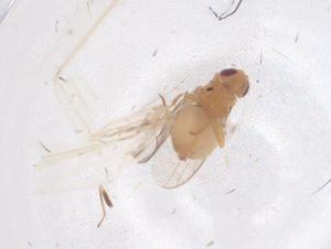  ( - CBG-B00150-G02)  @11 [ ] CreativeCommons - Attribution Share - Alike (2025) Centre for Biodiversity Genomics Centre for Biodiversity Genomics