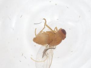  ( - CBG-B00151-H10)  @11 [ ] CreativeCommons - Attribution Share - Alike (2025) Centre for Biodiversity Genomics Centre for Biodiversity Genomics